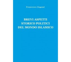 Brevi aspetti storico politici del mondo islamico di Francesco Zagami, 2023, 