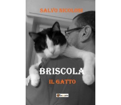 Briscola il Gatto	 di Salvo Nicolosi,  2018,  Youcanprint