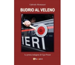 Budrio al veleno	 di Gabriele Montanari,  2016,  Youcanprint