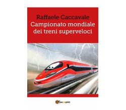 Campionato mondiale dei treni superveloci, Raffaele Caccavale,  2017,  Youcanpri