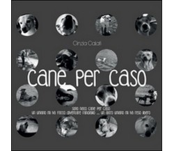 Cane per caso	 di Cinzia Calati,  2015,  Youcanprint