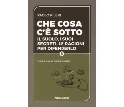 Che cosa c’è sotto di Paolo Pileri, 2016, Altreconomia