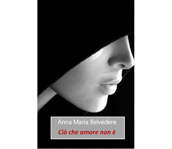 Ciò che amore non è di Anna Maria Belvedere,  2018,  Youcanprint