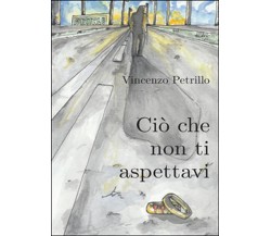 Ciò che non ti aspettavi	 di Vincenzo Petrillo,  2016,  Youcanprint