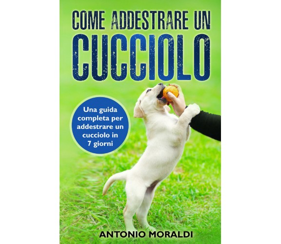 Come addestrare un cucciolo. Una guida completa per addestrare un cucciolo in 7 