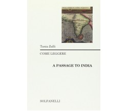 Come leggere «A passage to India» di Tania Zulli, 2014, Solfanelli