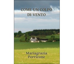 Come un colpo di vento	 di Mariagrazia Perricone,  2016,  Youcanprint