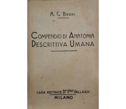 Compendio di Anatomia descrittiva umana  di A. C. Bruni  - ER