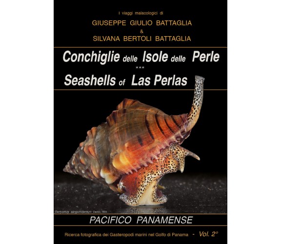 Conchiglie delle Isole delle Perle-Seashells of Las Perlas di Giuseppe Giulio Ba