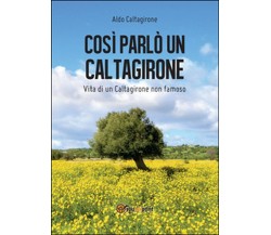 Così parlò un Caltagirone	 di Aldo Caltagirone,  2016,  Youcanprint