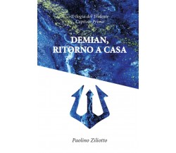 DEMIAN, ritorno a casa	 di Paolino Ziliotto,  2020,  Youcanprint