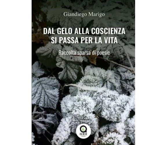 Dal gelo alla coscienza si passa per la vita. Raccolta sparsa di poesie di Gian