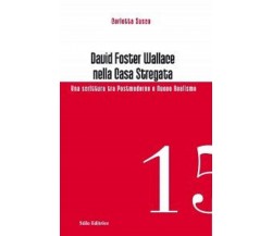 David Foster Wallace nella Casa stregata - Stilo, 2012