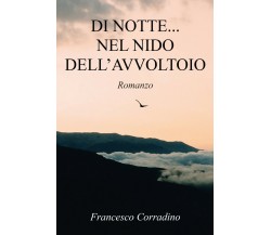 Di notte nel nido dell’avvoltoio	 di Francesco Corradino,  2020,  Youcanprint