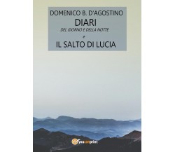 Diari del giorno e della notte e Il salto di Lucia, Domenico D’Agostino,  2016