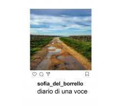 Diario di una voce	 di Sofia Del Borrello,  2019,  Youcanprint