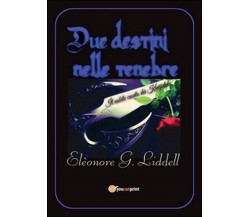 Due destini nelle tenebre di Elèonore G. Liddell   (Youcanprint 2016)