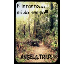 E intanto... mi do tempo	 di Angela Tri. P.,  2015,  Youcanprint