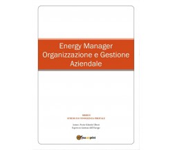 Energy Manager - Organizzazione e Gestione Aziendale	 di Gabriele Uberti,  2016