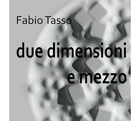 Fabio Tasso - Due dimensioni e mezzo: catalogo 2019 - Laura Giovanna Bevione