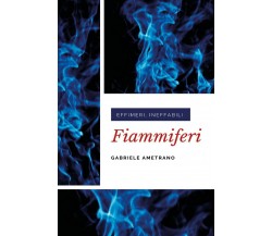 Fiammiferi	 di Gabriele Ametrano,  2020,  Youcanprint