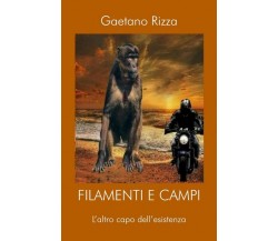 Filamenti e Campi	 di Gaetano Rizza,  2017,  Youcanprint