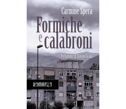 Formiche e calabroni	 di Carmine Spera,  2020,  Youcanprint