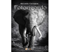 Fotoricordo	 di Riccardo Calvanese,  Youcanprint