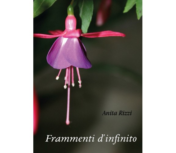 Frammenti d’infinito di Anita Rizzi,  2017,  Youcanprint