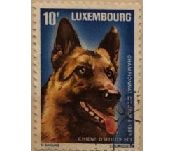 Francobollo Stamp 10 F Luxembourg Chiens d’utilite Champion d’Europe 1983 USATO	