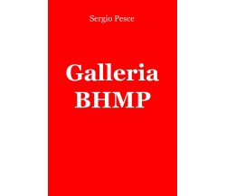 Galleria BHMP - Sergio Pesce - ilmiolibro, 2015