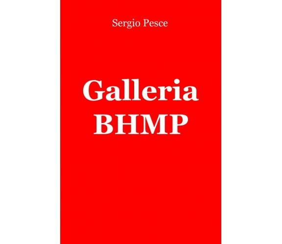 Galleria BHMP - Sergio Pesce - ilmiolibro, 2015