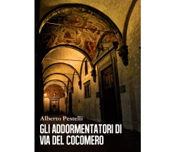 Gli addormentatori di via del Cocomero	 di Alberto Pestelli,  2018,  Youcanprint