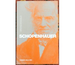 Grandangolo n. 4 - Schopenhauer di Tommaso Tuppini, 2019, Corriere Della Sera