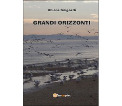 Grandi orizzonti	 di Chiara Siligardi,  2014,  Youcanprint