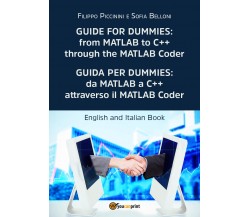 Guida per Dummies: da MATLAB a C++ attraverso il MATLAB Coder-Guide for Dummies: