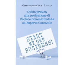 Guida pratica alla professione di dottore commercialista ed esperto contabile di