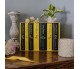 Harry Potter Hufflepuff House Editions Hardback Box Set: J.K. Rowling - Hardback