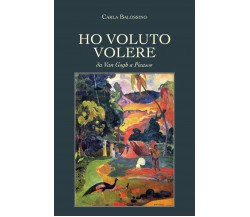 Ho voluto volere - Da Van Gogh a Picasso - di Carla Balossino,  2019- ER