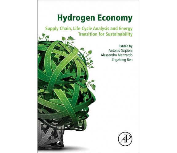 Hydrogen Economy - Antonio Scipioni - Academic, 2017