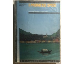 I Promessi sposi di Alessandro Manzoni,  1998,  G.b. Palumbo Editore