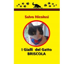 I gialli del gatto briscola	 di Salvo Nicolosi,  2019,  Youcanprint