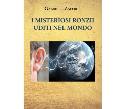 I misteriosi ronzìi uditi nel mondo di Gabriele Zaffiri,  2021,  Youcanprint