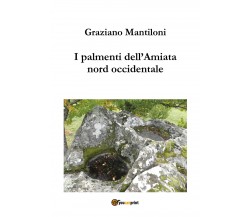 I palmenti dell’Amiata nord occidentale di Graziano Mantiloni,  2021,  Youcanpri