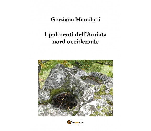 I palmenti dell’Amiata nord occidentale di Graziano Mantiloni,  2021,  Youcanpri