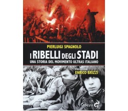 I ribelli degli stadi - Pierluigi Spagnolo - Odoya, 2017