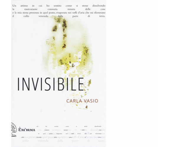 INVISIBILE di CARLA VASIO - Exòrma, 2017