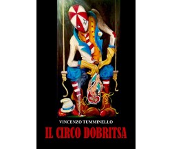 Il Circo Dobritsa di Vincenzo Tumminello,  2022,  Youcanprint