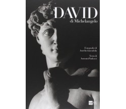 Il David di Michelangelo - Antonio Paolucci, Aurelio Amendola - 2014