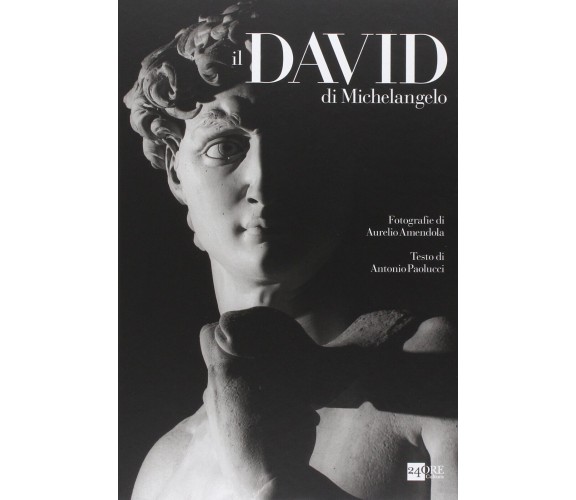 Il David di Michelangelo - Antonio Paolucci, Aurelio Amendola - 2014